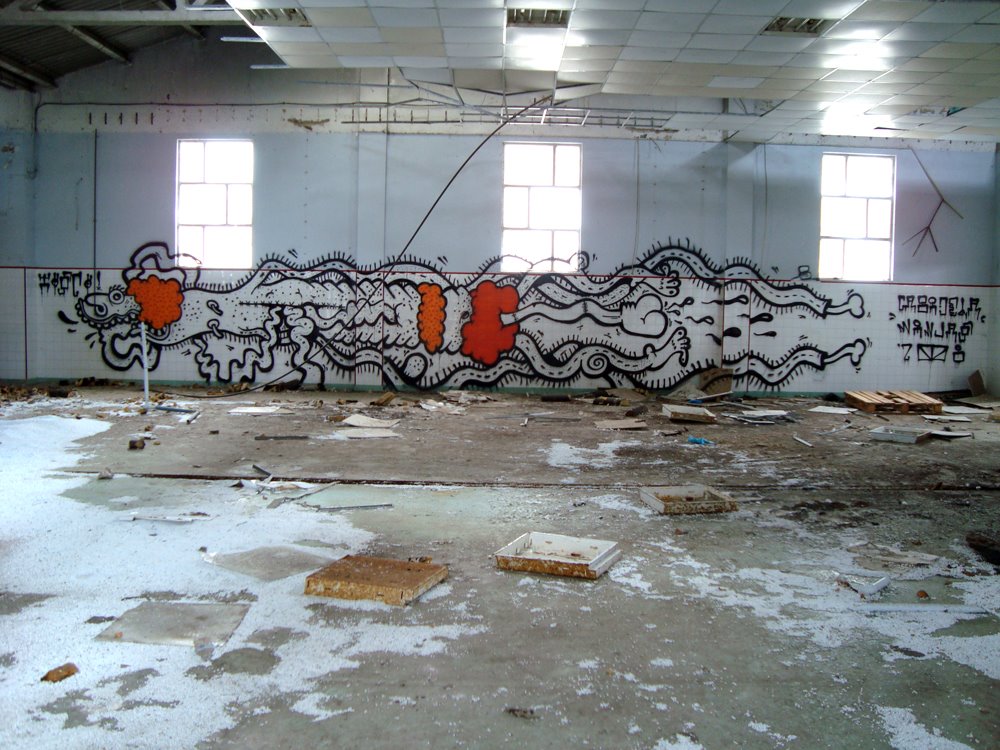 [DSC00392.JPG]