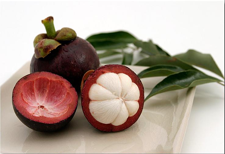 All About Mangosteen The Origins of XanGo™
