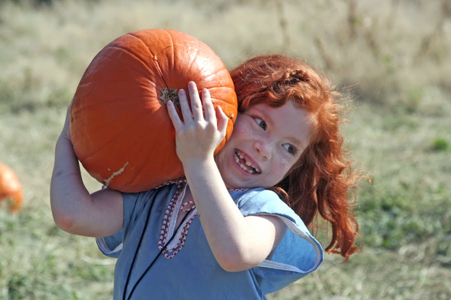 [pumpkin-patch-199.jpg]