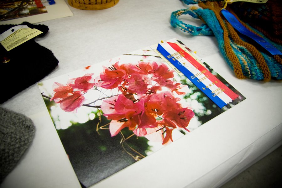 [CountyFair081.jpg]