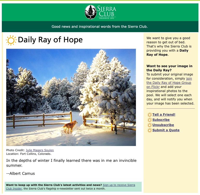 [Daily+Ray+of+Hope-Golden+in+Snow.jpg]