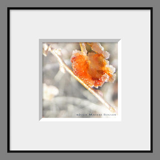 An orange autumn leaf is covered in frost giving it a sugary texture.