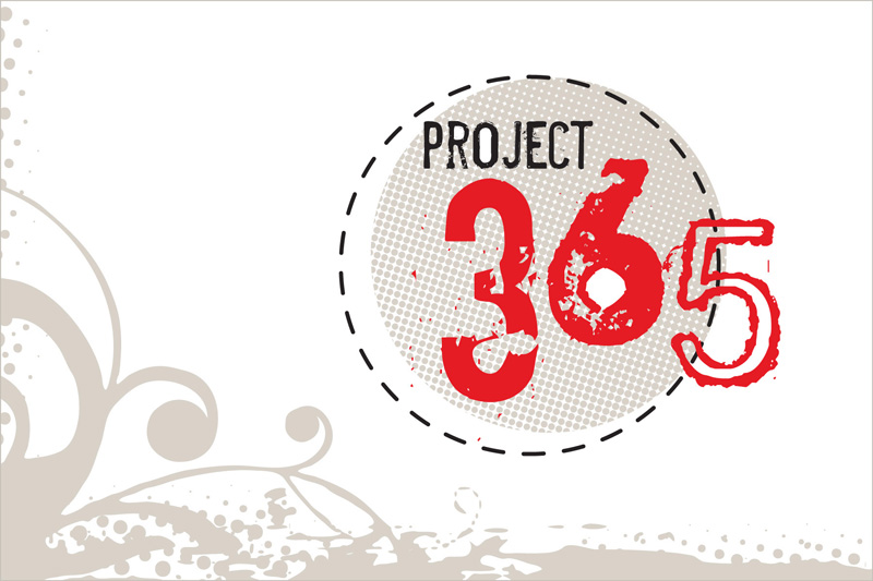 The 365 Photo Project is a