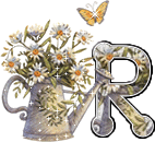 [r.gif]