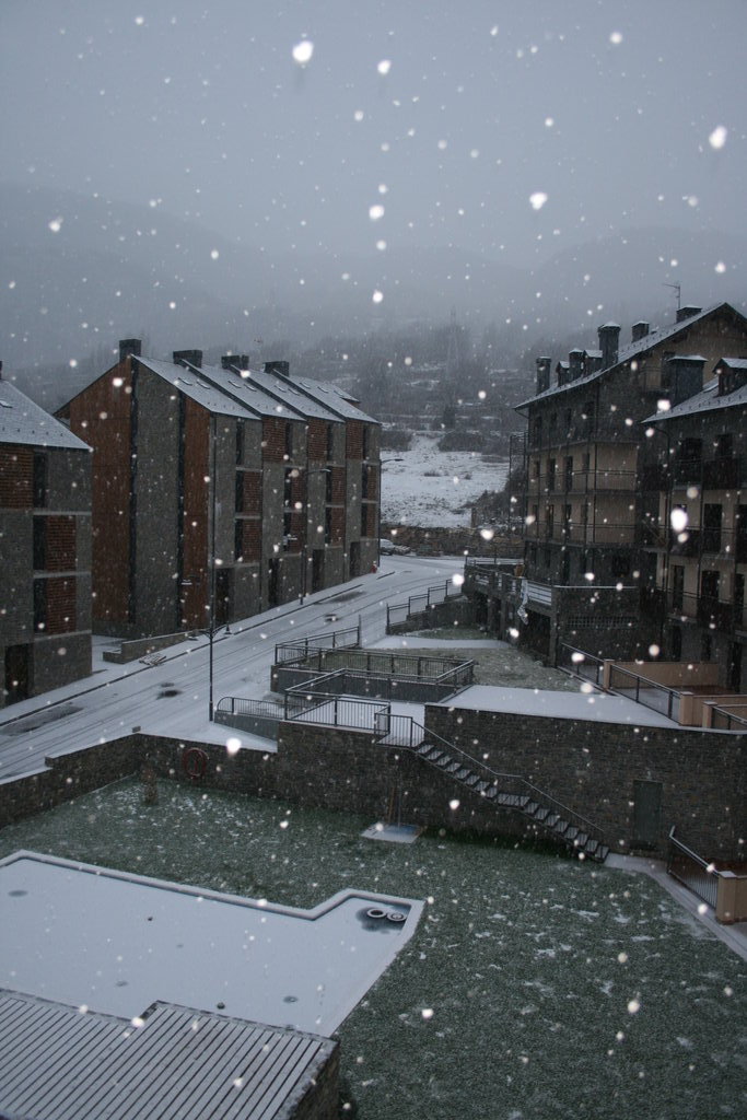 [IMG_9923.redimensionada.JPG]