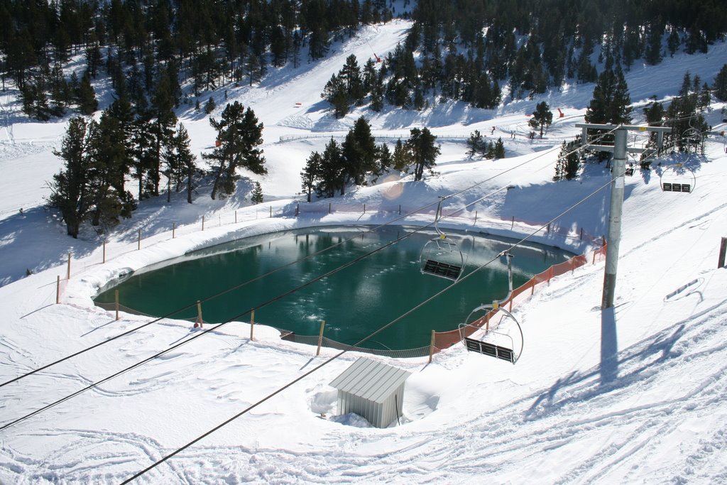 [IMG_1617.resized.JPG]