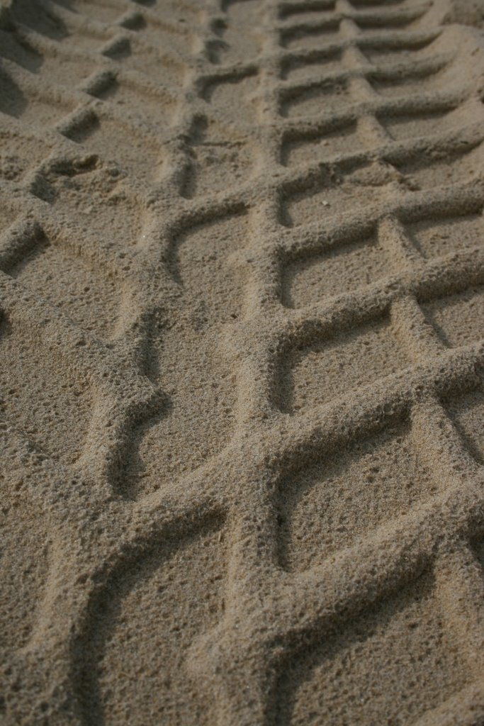 [IMG_2555.resized.JPG]