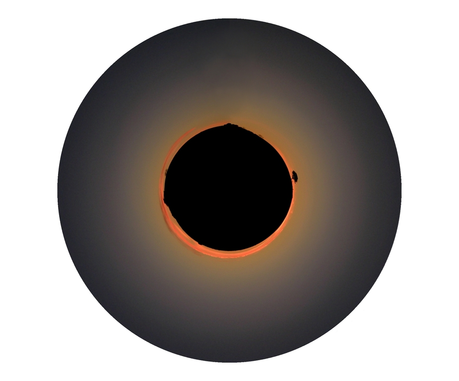 [individual_olga.redimensionada.jpg]