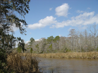Wambaw Creek