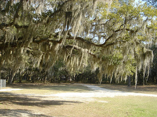 Santee Reserve scenery