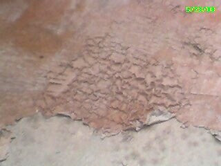 Citristrip at work removing the goop