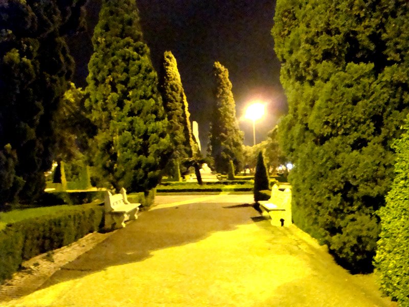 [DSC06915.JPG]