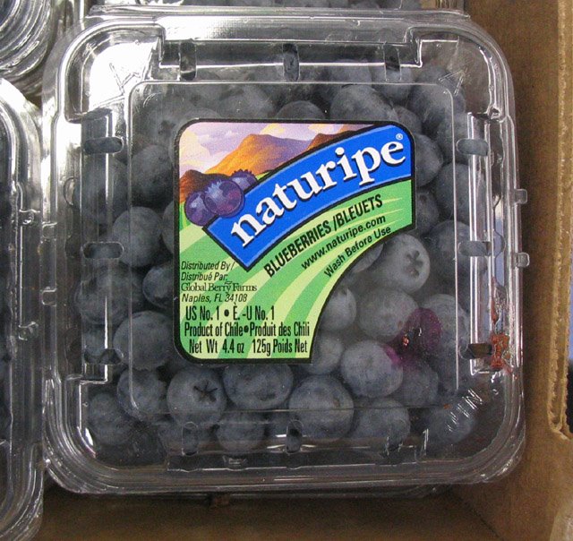 [pancake+blueberrys.jpg]
