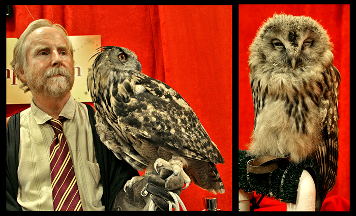 New York Daily Photo: Eeylop Owl Emporium