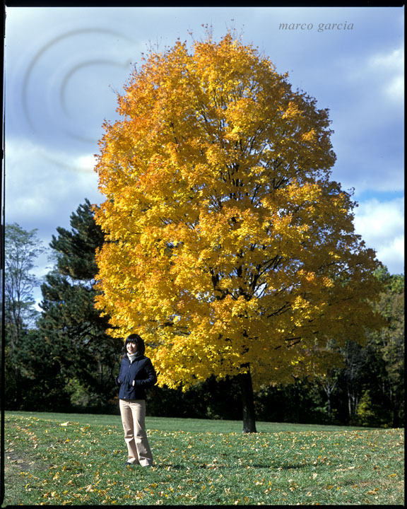 [yukako+and+tree.jpg]