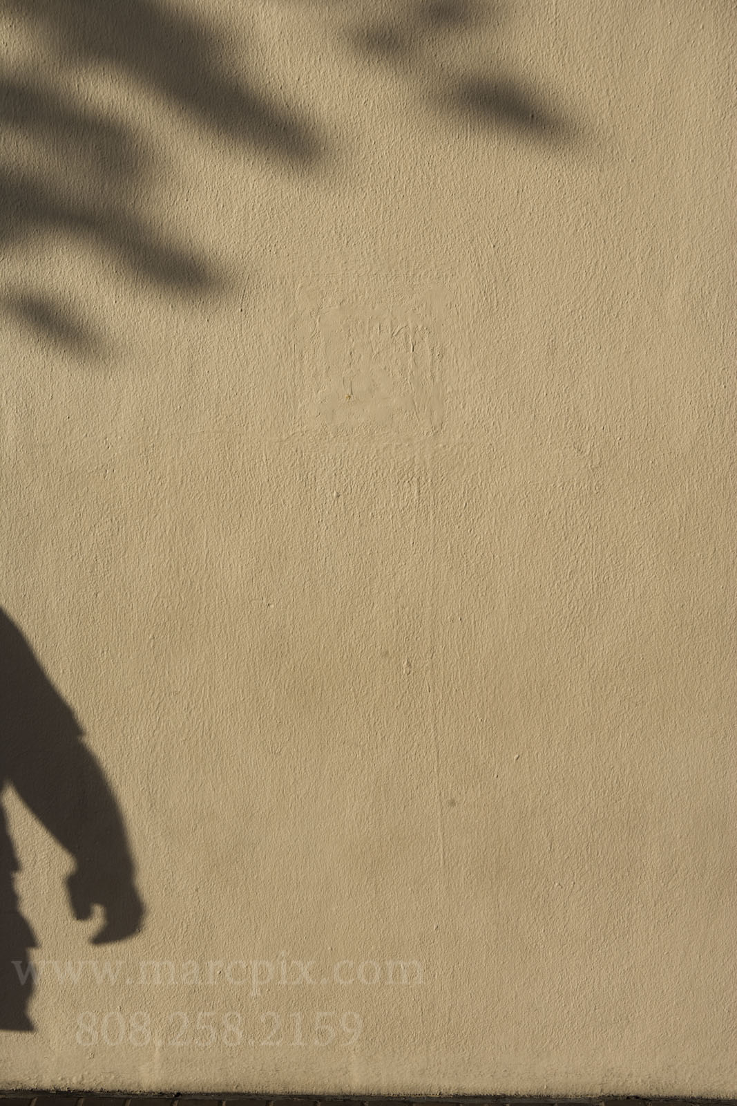 [shadows+5.jpg]