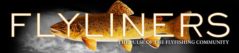 flyliners