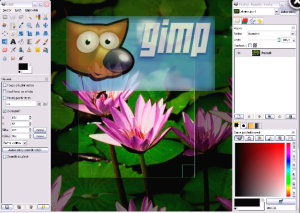 [gimp.jpg]