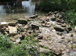 Salado Creek