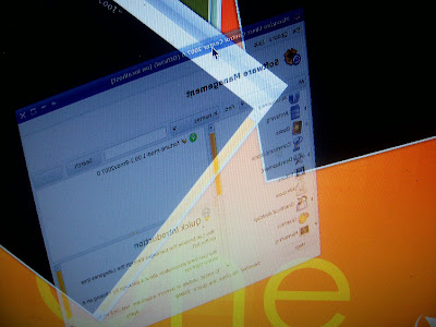 Sure Boss, I really do work better when the text on the screen is all back-to-front...