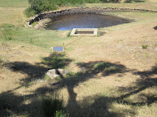 Fuente"El Jerrao"