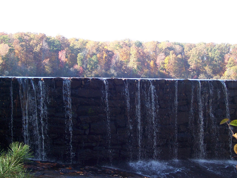 North Carolina Fall 2008