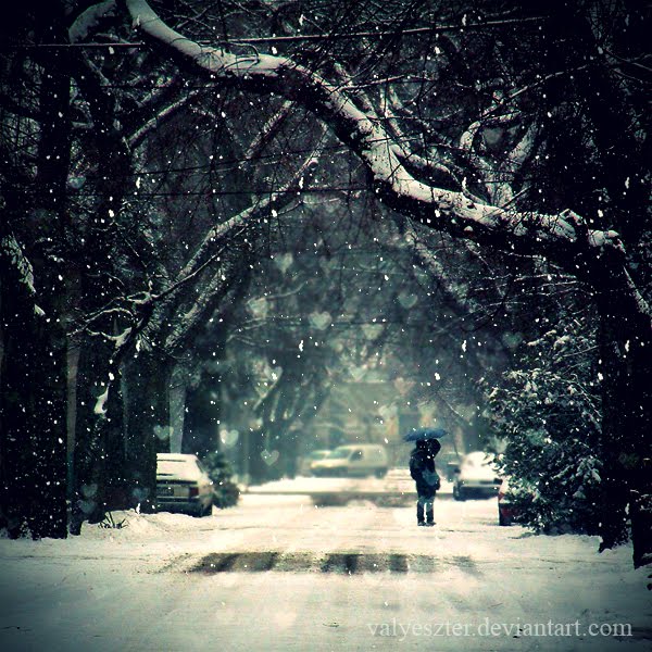 [love_the_snow_by_valyeszter.jpg]