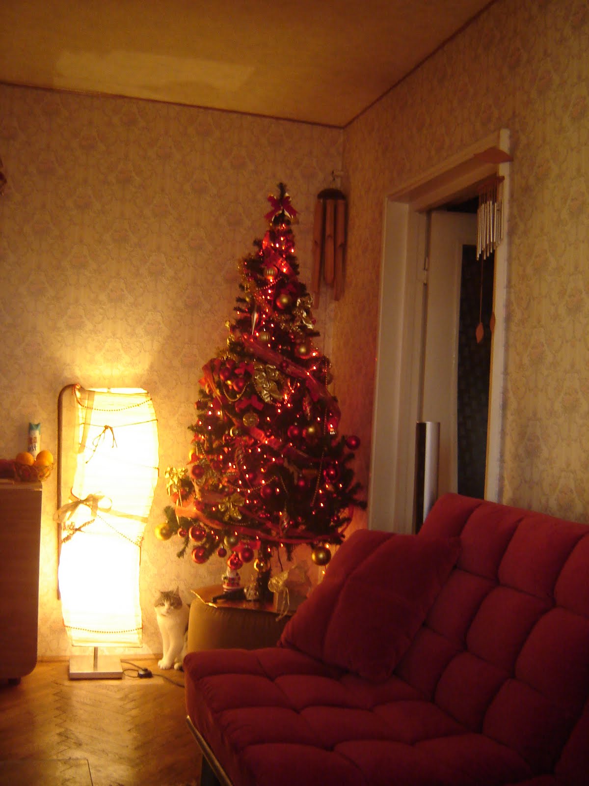[DSC03128.JPG]