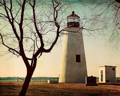 VIDEO: Turkey Point Light