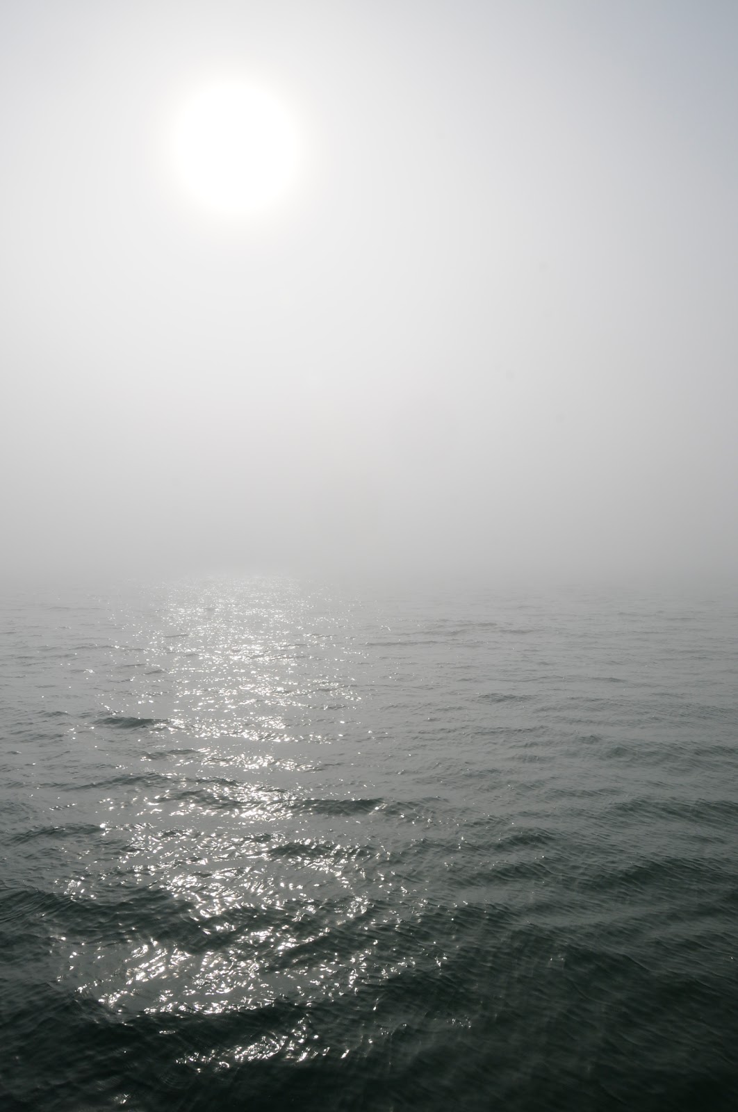 fog sea