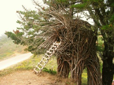 Human Nest