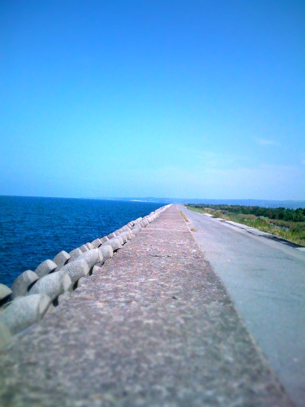 [IMG_1374.JPG]