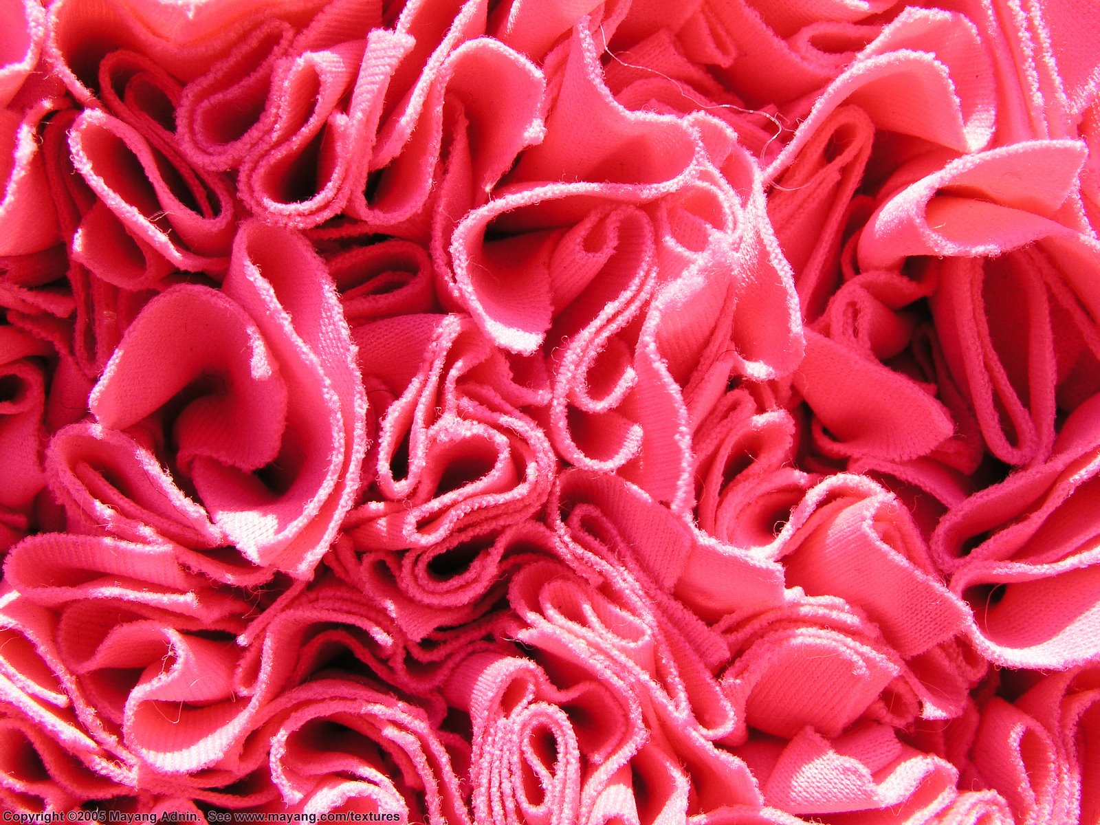 [crumpled_fabric_9271252.JPG]