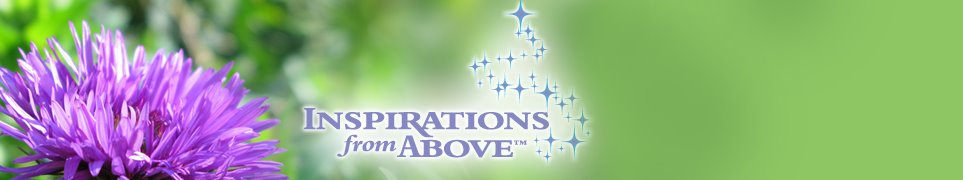 Inspirations from Above