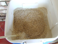 The Mash