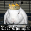 Lord Thumper Bunny Rabbit