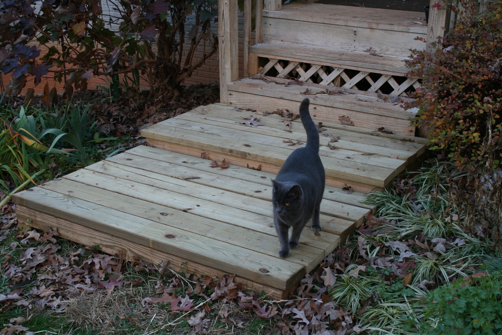 A Tiny Homestead New steps for the front porch