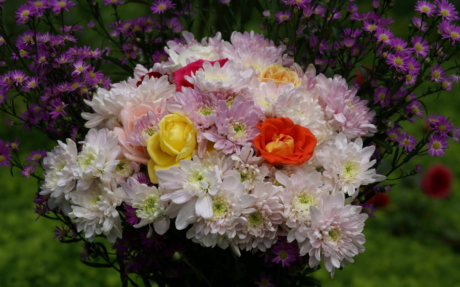 http://4.bp.blogspot.com/_BEyQraI-KQQ/SxSwuDWlp_I/AAAAAAAADtU/BDU3ckW7M4E/s1600/roses-dsc01919.jpg