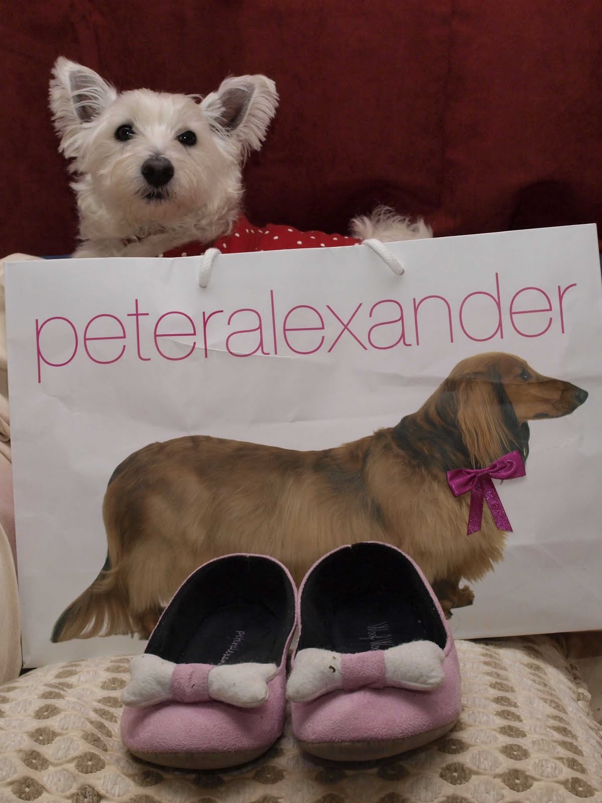 dachshund slippers