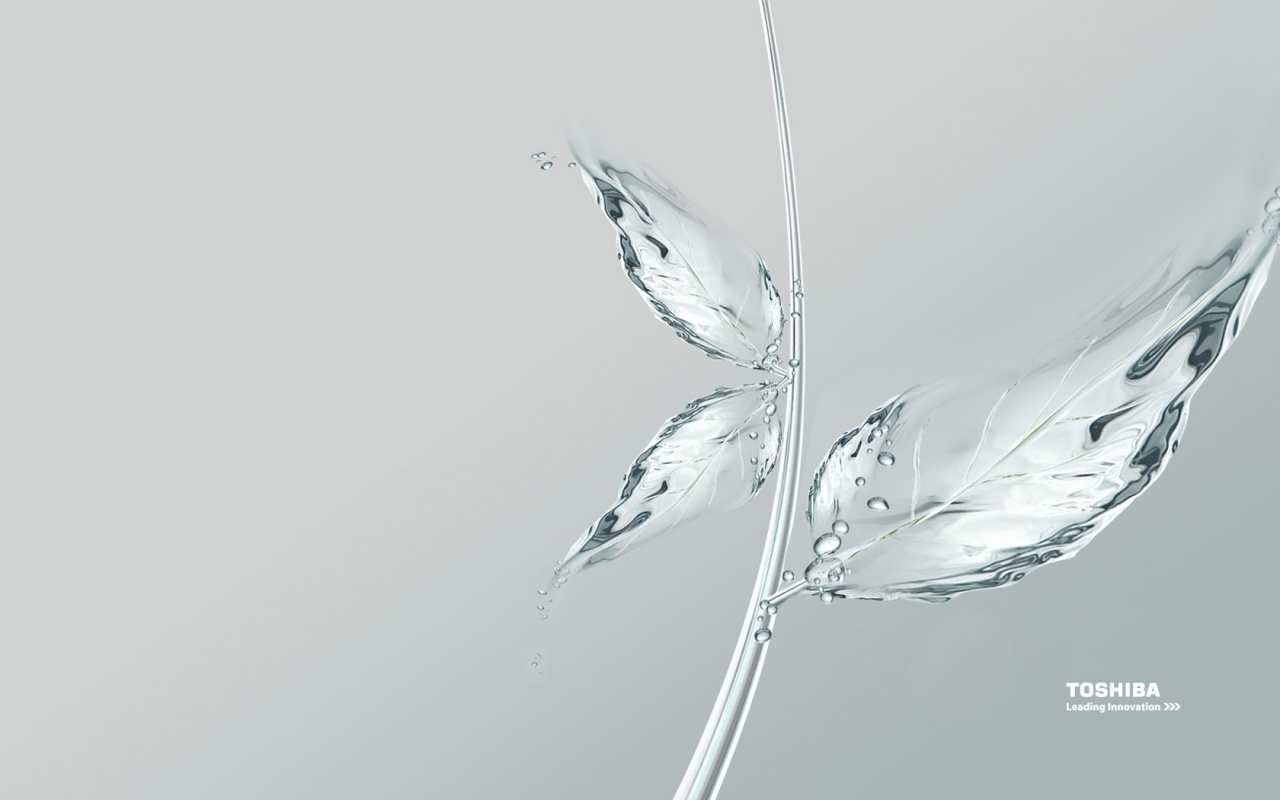 http://4.bp.blogspot.com/_BFYlnQUsPgo/TN2Nmdchc4I/AAAAAAAAAk0/yhT0IQFfTtU/s1600/toshiba-waterleaf-1280x800-wallpaper-464.jpg