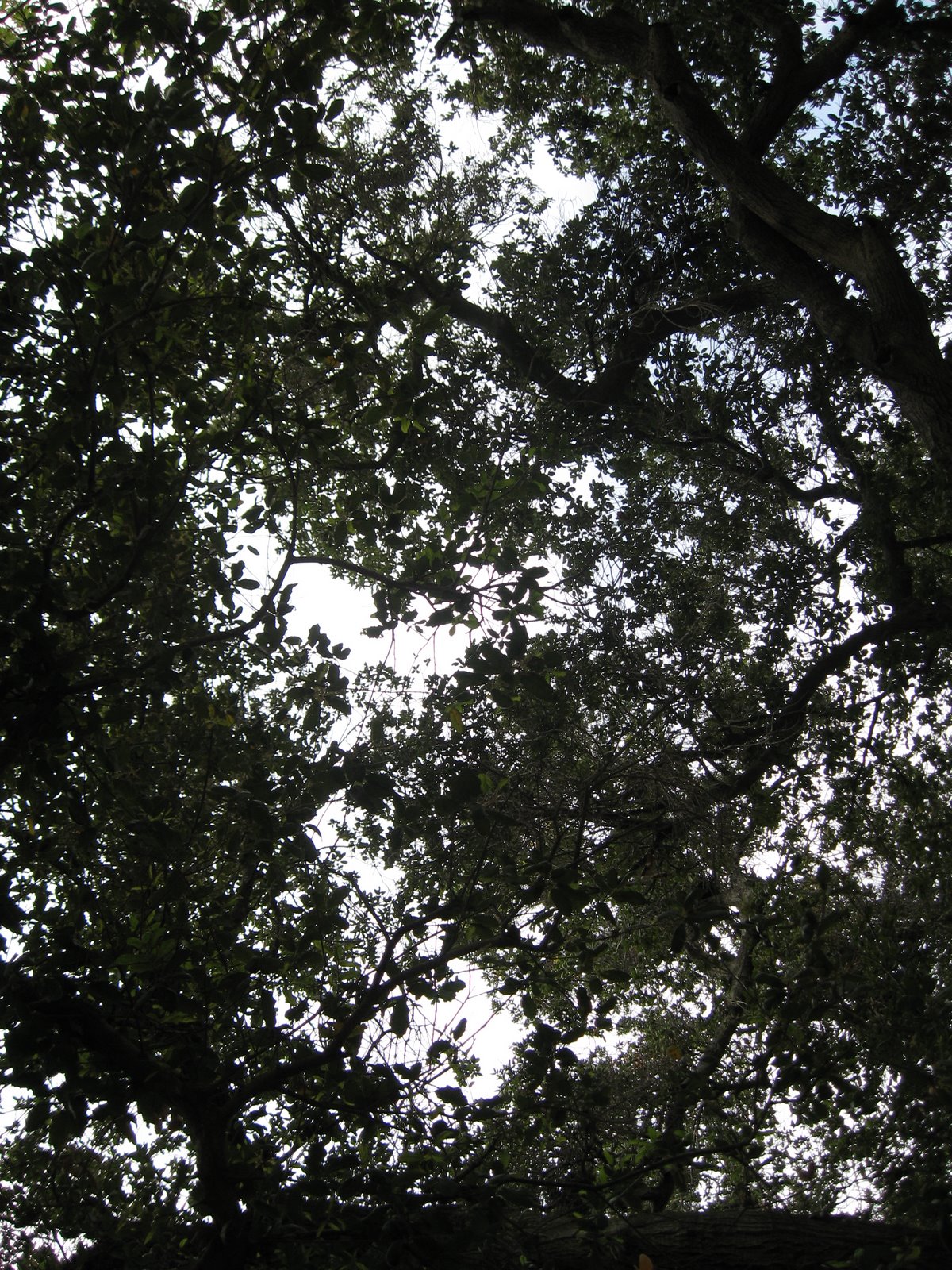 [IMG_0221.JPG]