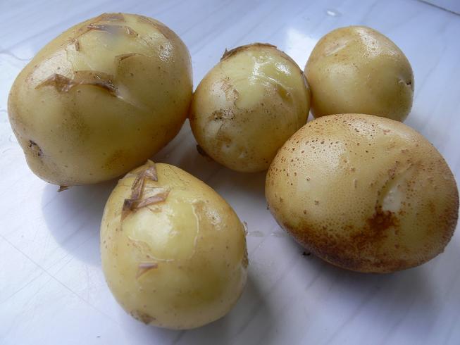 [potatoes+sml.jpg]