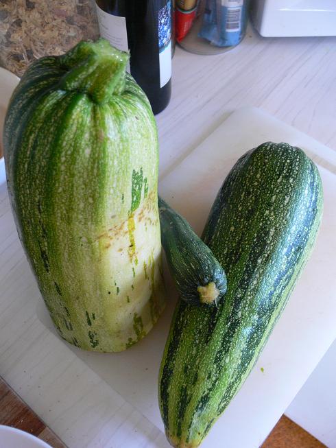 [zucchini.jpg]