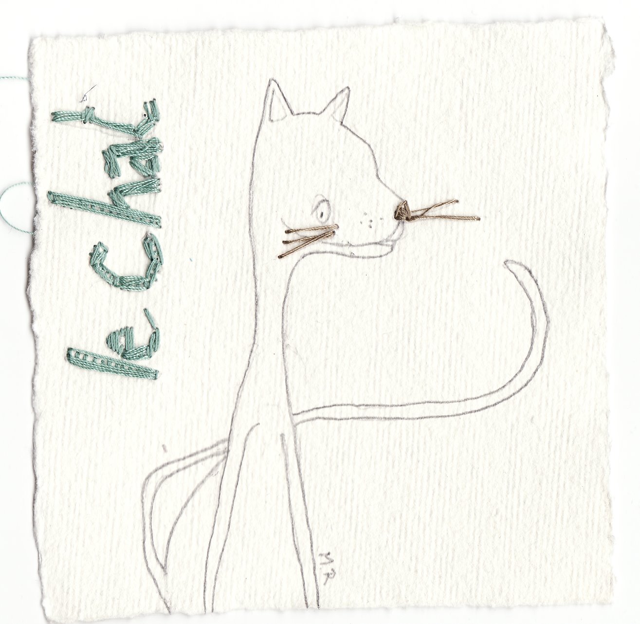 [le+chat...jpg]