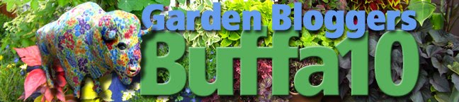 Garden Bloggers Buffa10