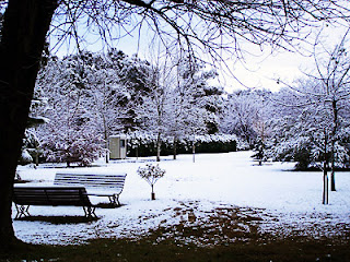 ¿Dónde está la nieve?