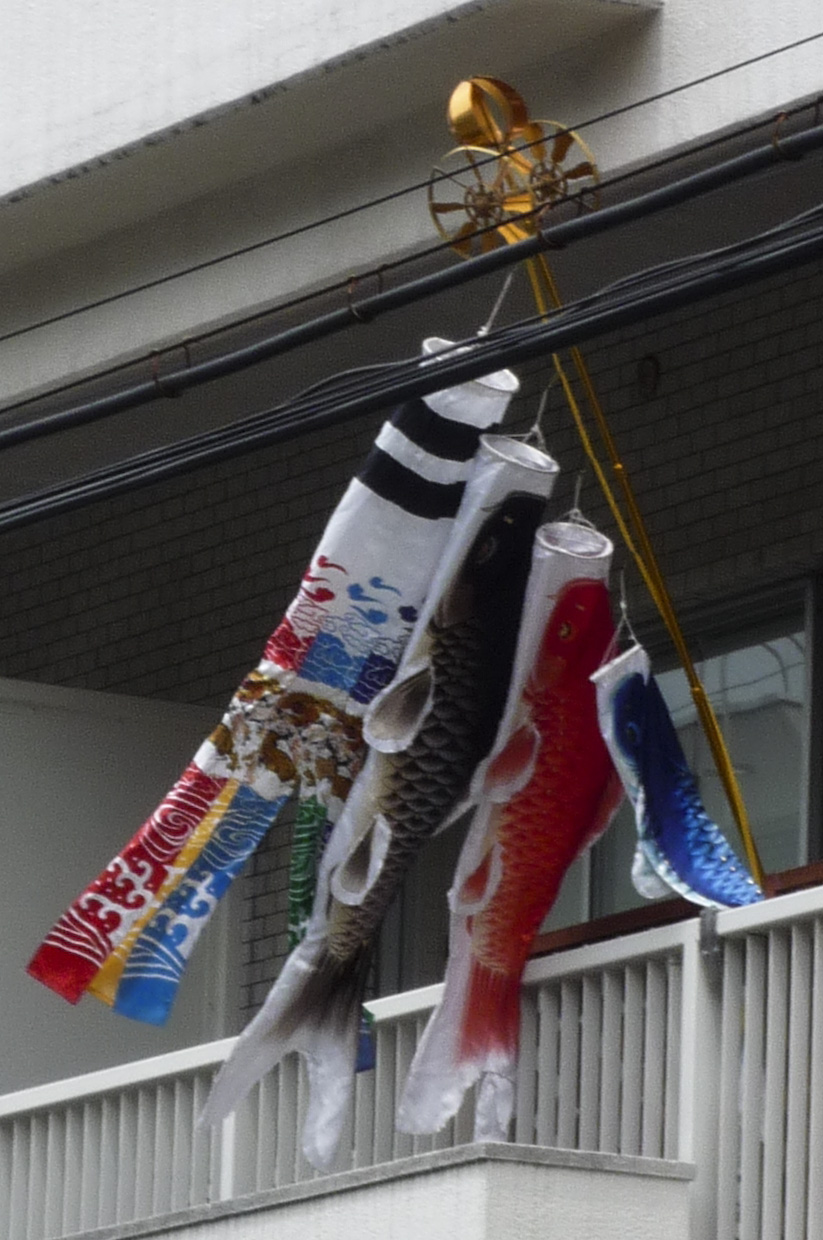 [P1010465-2.jpg]