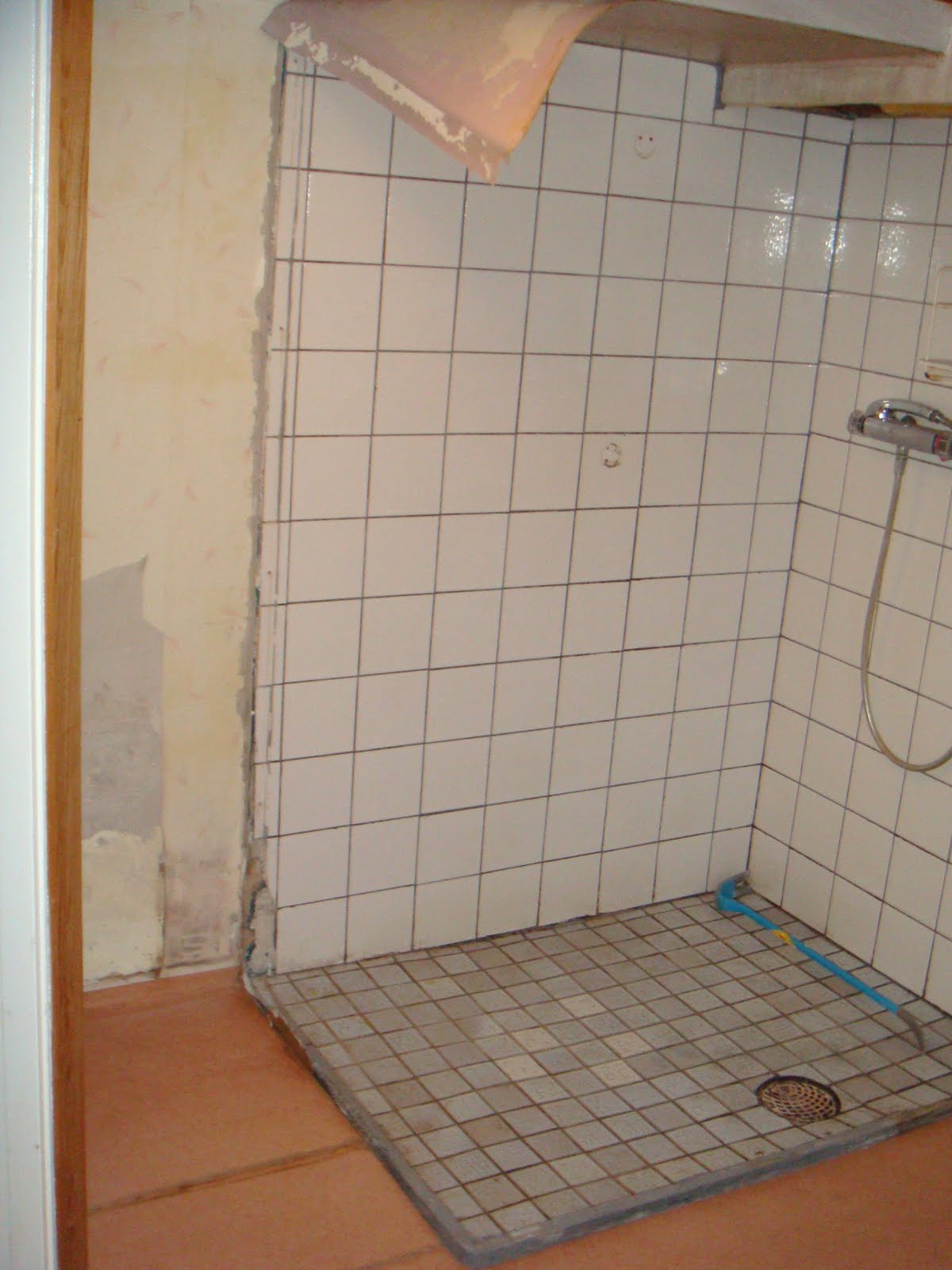 [DSC02442.JPG]