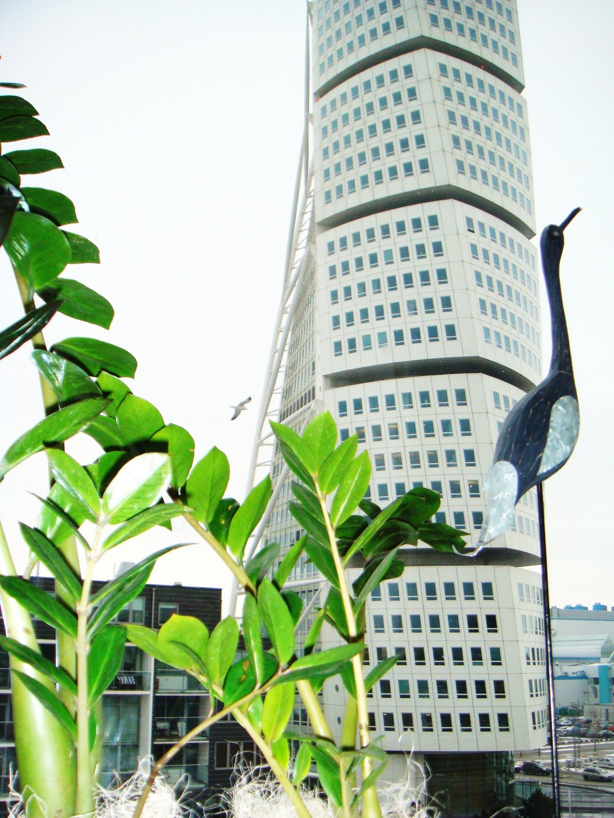 [DSC02732.JPG]