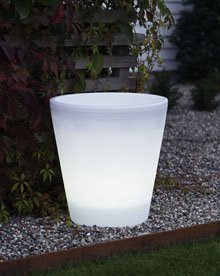 [7638-000.p.1.0[1].jpg]